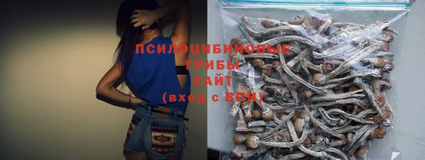 крисы Абдулино