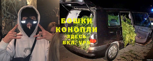 молекула духа Абинск